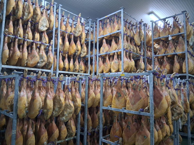 Jamones y paletas colgados en las estanterías del secadero